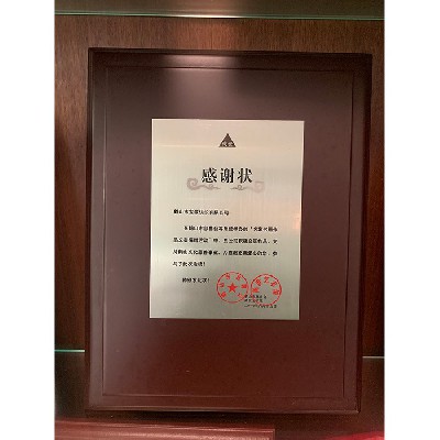 名家書畫作品義賣捐贈(zèng)活動(dòng)感謝狀